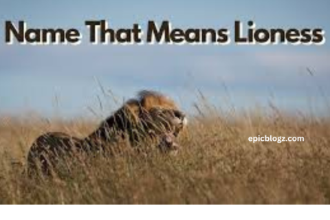 Name That Means Lioness NYT