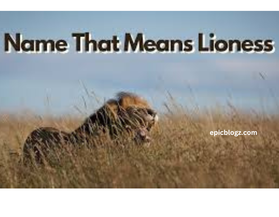 Name That Means Lioness NYT