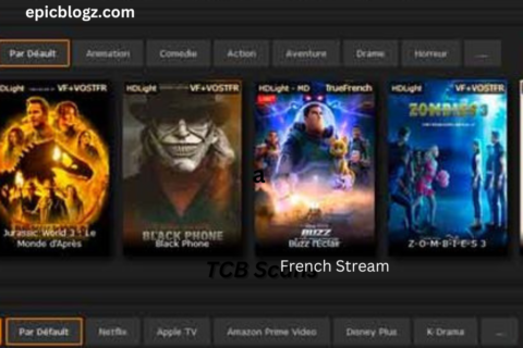 French Stream