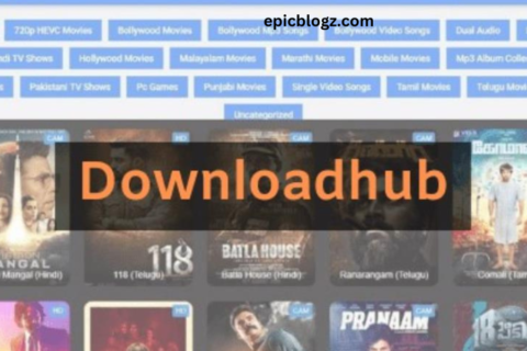 Download Hub